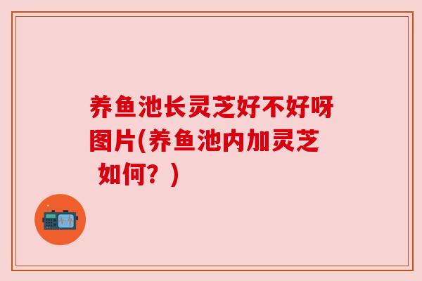 养鱼池长灵芝好不好呀图片(养鱼池内加灵芝 如何？)