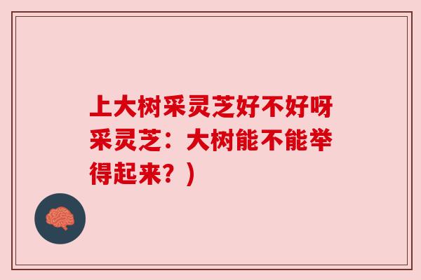上大树采灵芝好不好呀采灵芝：大树能不能举得起来？)