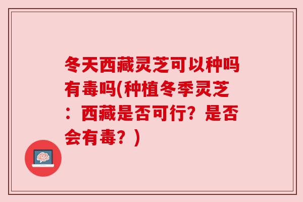 冬天西藏灵芝可以种吗有毒吗(种植冬季灵芝：西藏是否可行？是否会有毒？)