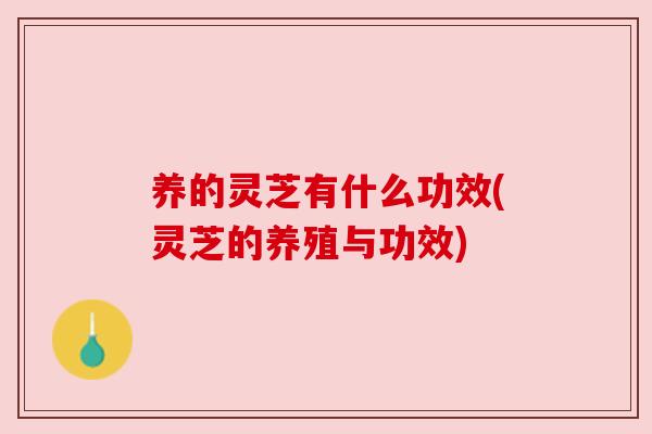 养的灵芝有什么功效(灵芝的养殖与功效)