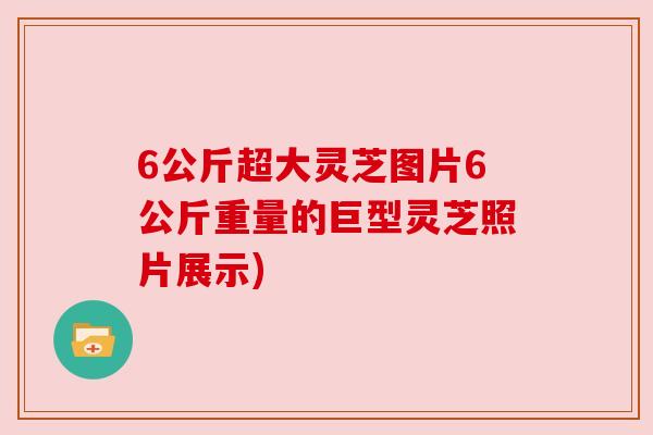6公斤超大灵芝图片6公斤重量的巨型灵芝照片展示)