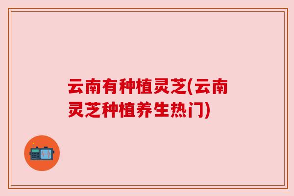 云南有种植灵芝(云南灵芝种植养生热门)