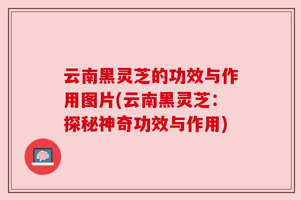 云南黑灵芝的功效与作用图片(云南黑灵芝:探秘神奇功效与作用) 云南黑灵芝的功效与作用图片(云南黑灵芝:探秘神奇功效与作用)