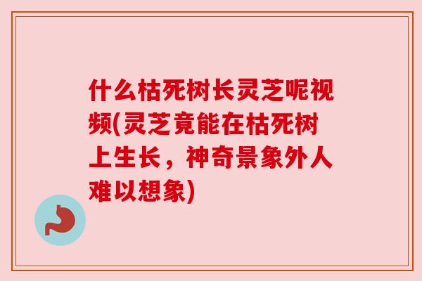 什么枯死树长灵芝呢视频(灵芝竟能在枯死树上生长，神奇景象外人难以想象)