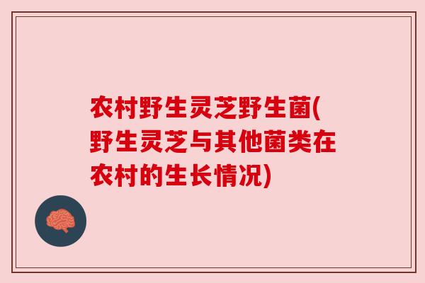 农村野生灵芝野生菌(野生灵芝与其他菌类在农村的生长情况)