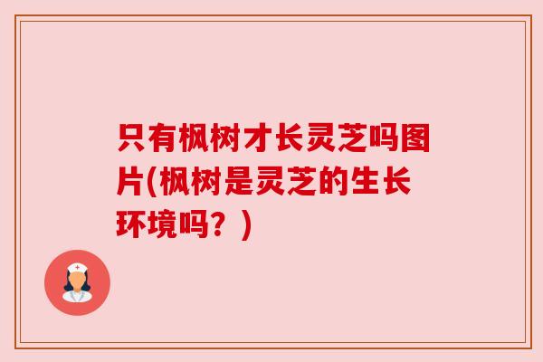 只有枫树才长灵芝吗图片(枫树是灵芝的生长环境吗?) 只有枫树才长灵芝吗图片(枫树是灵芝的生长环境吗?)
