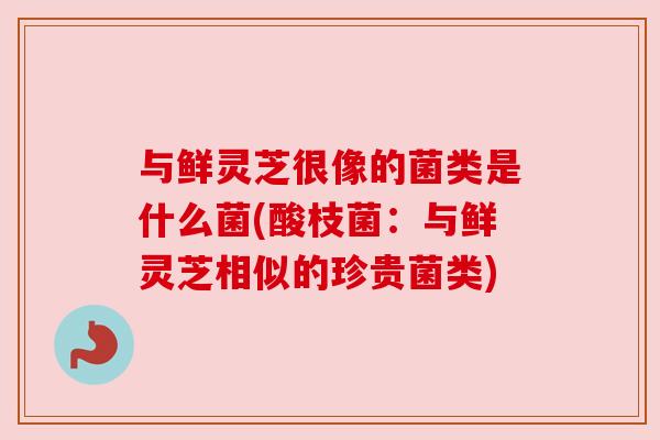 与鲜灵芝很像的菌类是什么菌(酸枝菌：与鲜灵芝相似的珍贵菌类)