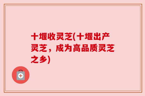 十堰收灵芝(十堰出产灵芝，成为高品质灵芝之乡)