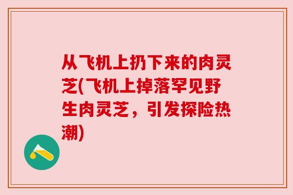 从飞机上扔下来的肉灵芝(飞机上掉落罕见野生肉灵芝，引发探险热潮)