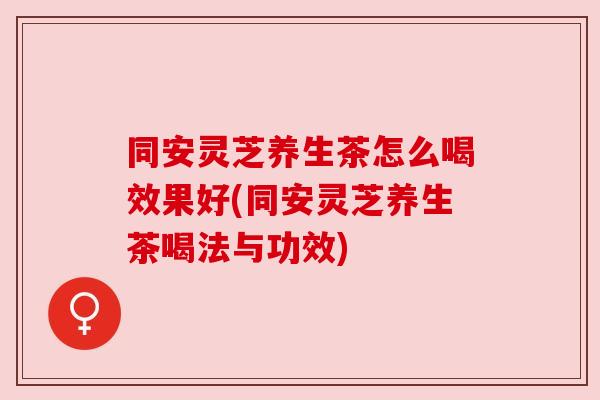 同安灵芝养生茶怎么喝效果好(同安灵芝养生茶喝法与功效)