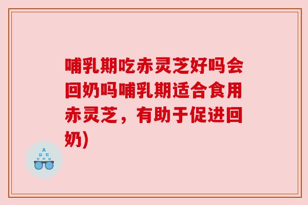 哺乳期吃赤灵芝好吗会回奶吗哺乳期适合食用赤灵芝，有助于促进回奶)