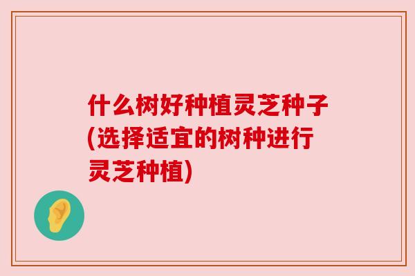 什么树好种植灵芝种子(选择适宜的树种进行灵芝种植) 什么树好种植灵芝种子(选择适宜的树种进行灵芝种植)
