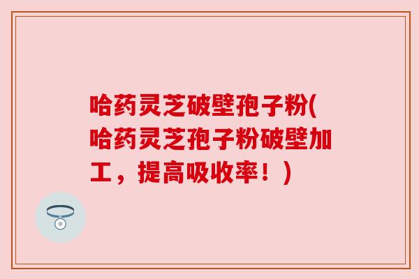 哈药灵芝破壁孢子粉(哈药灵芝孢子粉破壁加工,提高吸收率!) 哈药灵芝破壁孢子粉(哈药灵芝孢子粉破壁加工,提高吸收率!)
