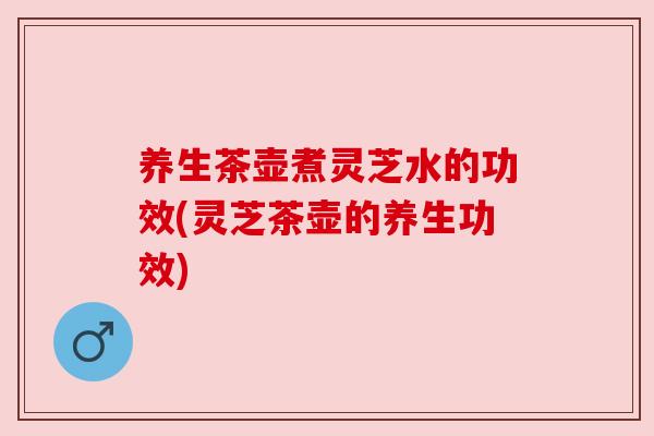 养生茶壶煮灵芝水的功效(灵芝茶壶的养生功效)