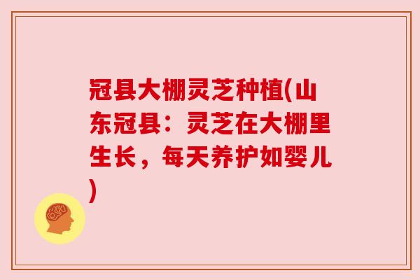 冠县大棚灵芝种植(山东冠县：灵芝在大棚里生长，每天养护如婴儿)