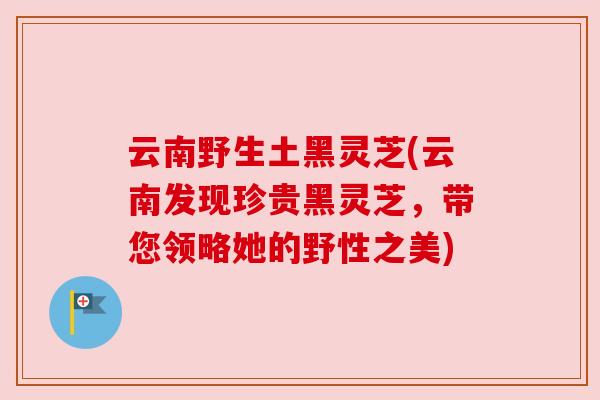 云南野生土黑灵芝(云南发现珍贵黑灵芝，带您领略她的野性之美)
