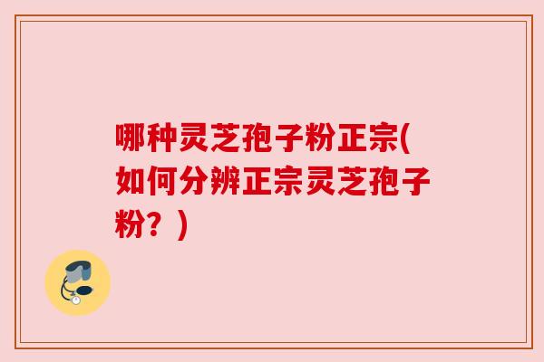 哪种灵芝孢子粉正宗(如何分辨正宗灵芝孢子粉？)