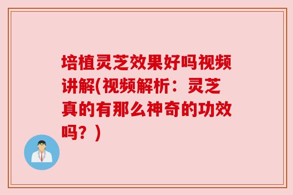 培植灵芝效果好吗视频讲解(视频解析：灵芝真的有那么神奇的功效吗？)