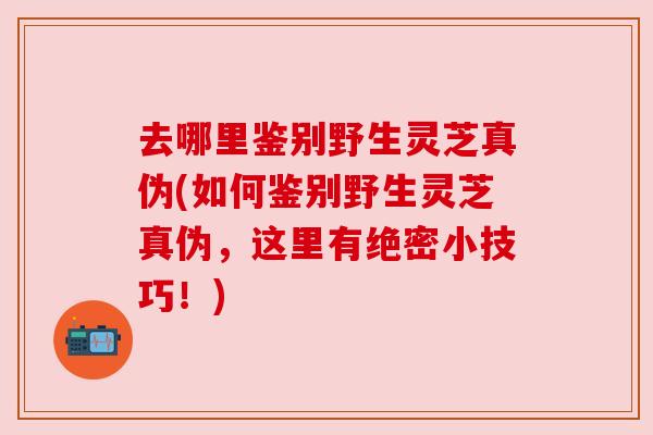 去哪里鉴别野生灵芝真伪(如何鉴别野生灵芝真伪,这里有绝密小技巧!) 去哪里鉴别野生灵芝真伪(如何鉴别野生灵芝真伪,这里有绝密小技巧!)