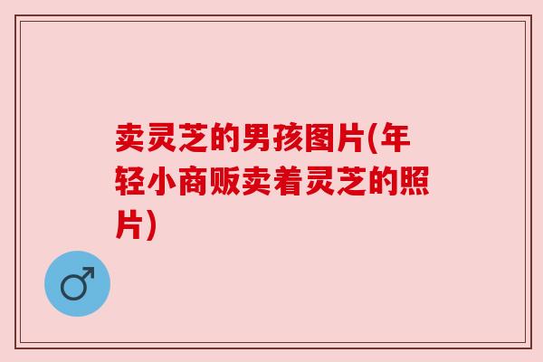 卖灵芝的男孩图片(年轻小商贩卖着灵芝的照片)