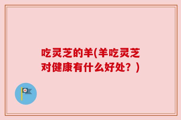 吃灵芝的羊(羊吃灵芝对健康有什么好处?) 吃灵芝的羊(羊吃灵芝对健康有什么好处?)