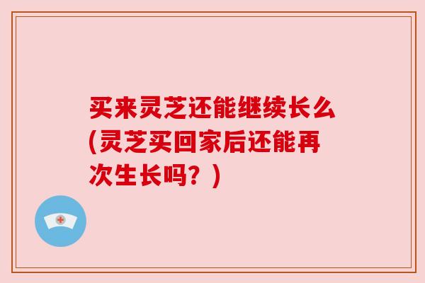 买来灵芝还能继续长么(灵芝买回家后还能再次生长吗？)