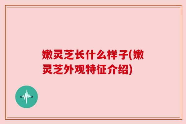 嫩灵芝长什么样子(嫩灵芝外观特征介绍) 嫩灵芝长什么样子(嫩灵芝外观特征介绍)