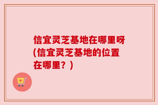 信宜灵芝基地在哪里呀(信宜灵芝基地的位置在哪里？)