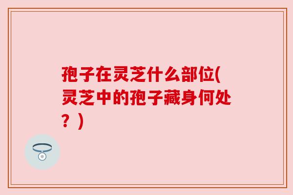 孢子在灵芝什么部位(灵芝中的孢子藏身何处？)