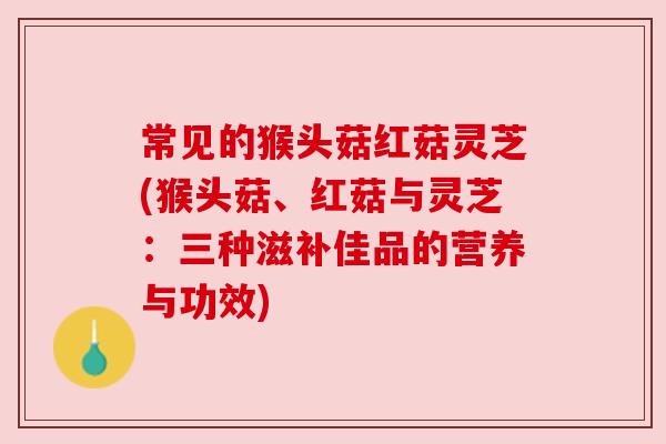 常见的猴头菇红菇灵芝(猴头菇、红菇与灵芝:三种滋补佳品的营养与功效) 常见的猴头菇红菇灵芝(猴头菇、红菇与灵芝:三种滋补佳品的营养与功效)