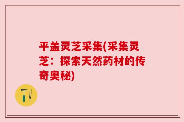 平盖灵芝采集(采集灵芝：探索天然药材的传奇奥秘)