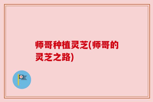 师哥种植灵芝(师哥的灵芝之路)