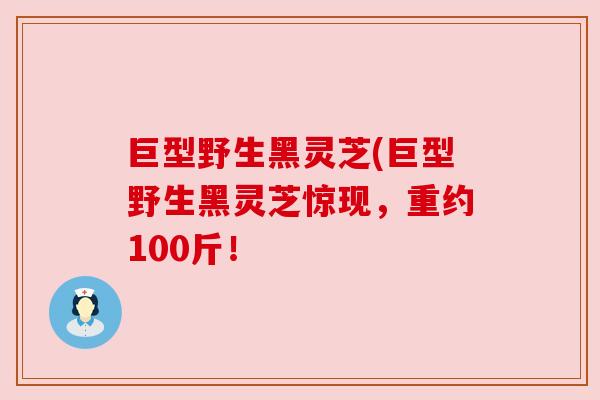 巨型野生黑灵芝(巨型野生黑灵芝惊现，重约100斤！