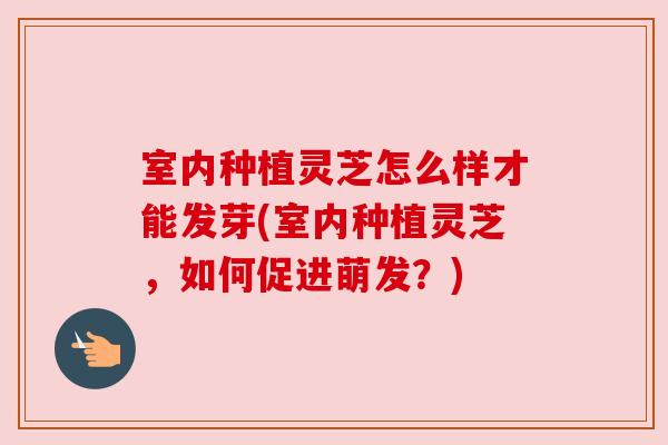 室内种植灵芝怎么样才能发芽(室内种植灵芝，如何促进萌发？)