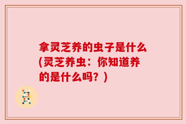 拿灵芝养的虫子是什么(灵芝养虫：你知道养的是什么吗？)