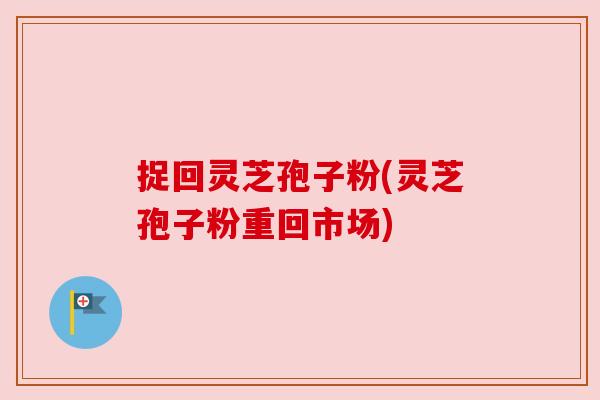 捉回灵芝孢子粉(灵芝孢子粉重回市场) 捉回灵芝孢子粉(灵芝孢子粉重回市场)