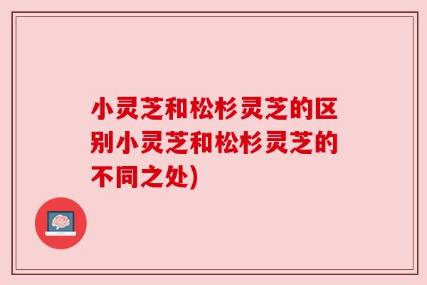 小灵芝和松杉灵芝的区别小灵芝和松杉灵芝的不同之处)