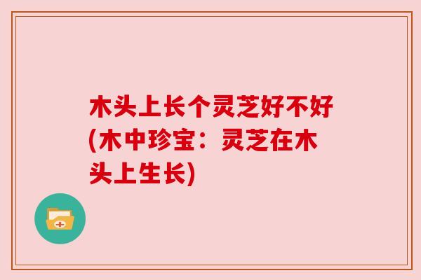 木头上长个灵芝好不好(木中珍宝：灵芝在木头上生长)