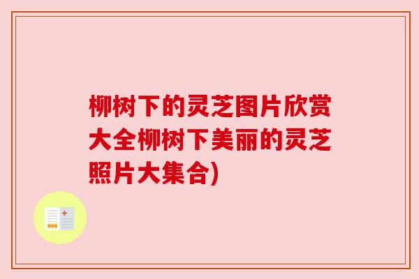 柳树下的灵芝图片欣赏大全柳树下美丽的灵芝照片大集合) 柳树下的灵芝图片欣赏大全柳树下美丽的灵芝照片大集合)