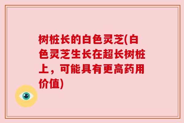 树桩长的白色灵芝(白色灵芝生长在超长树桩上,可能具有更高药用价值) 树桩长的白色灵芝(白色灵芝生长在超长树桩上,可能具有更高药用价值)
