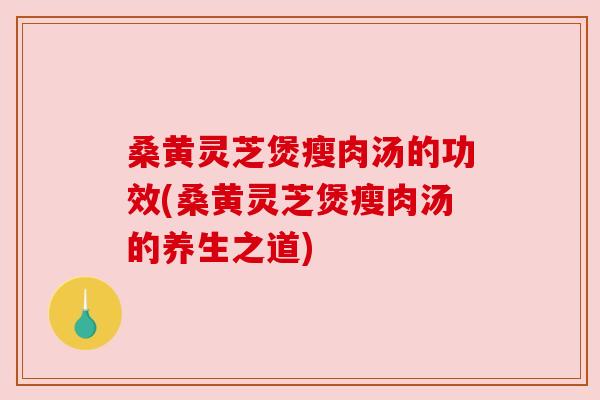 桑黄灵芝煲瘦肉汤的功效(桑黄灵芝煲瘦肉汤的养生之道)
