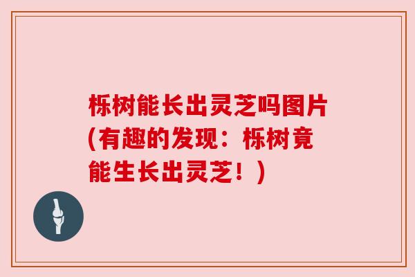 栎树能长出灵芝吗图片(有趣的发现:栎树竟能生长出灵芝!) 栎树能长出灵芝吗图片(有趣的发现:栎树竟能生长出灵芝!)
