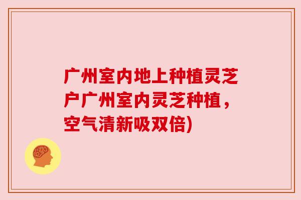 广州室内地上种植灵芝户广州室内灵芝种植,空气清新吸双倍) 广州室内地上种植灵芝户广州室内灵芝种植,空气清新吸双倍)