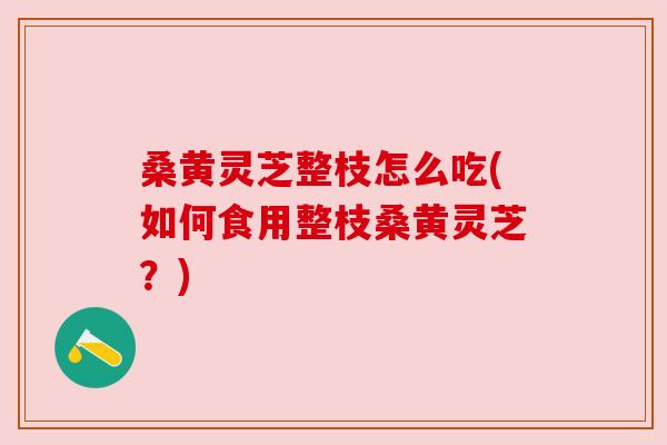 桑黄灵芝整枝怎么吃(如何食用整枝桑黄灵芝?) 桑黄灵芝整枝怎么吃(如何食用整枝桑黄灵芝?)