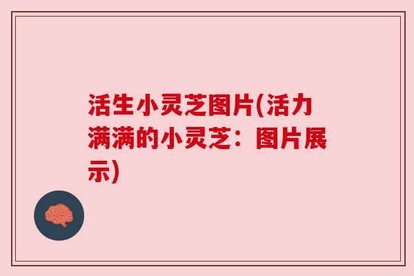 活生小灵芝图片(活力满满的小灵芝:图片展示) 活生小灵芝图片(活力满满的小灵芝:图片展示)