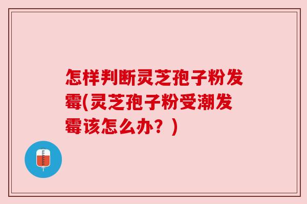 怎样判断灵芝孢子粉发霉(灵芝孢子粉受潮发霉该怎么办?) 怎样判断灵芝孢子粉发霉(灵芝孢子粉受潮发霉该怎么办?)