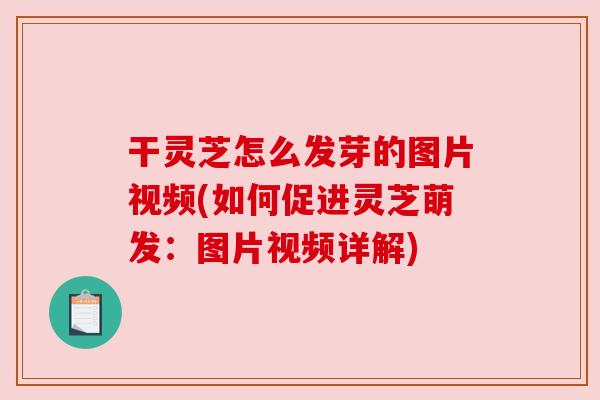 干灵芝怎么发芽的图片视频(如何促进灵芝萌发:图片视频详解) 干灵芝怎么发芽的图片视频(如何促进灵芝萌发:图片视频详解)