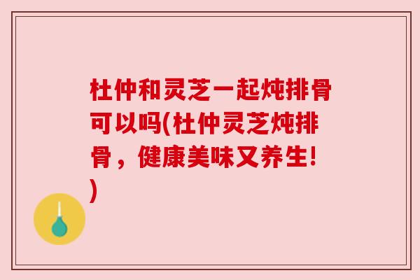 杜仲和灵芝一起炖排骨可以吗(杜仲灵芝炖排骨,健康美味又养生!) 杜仲和灵芝一起炖排骨可以吗(杜仲灵芝炖排骨,健康美味又养生!)