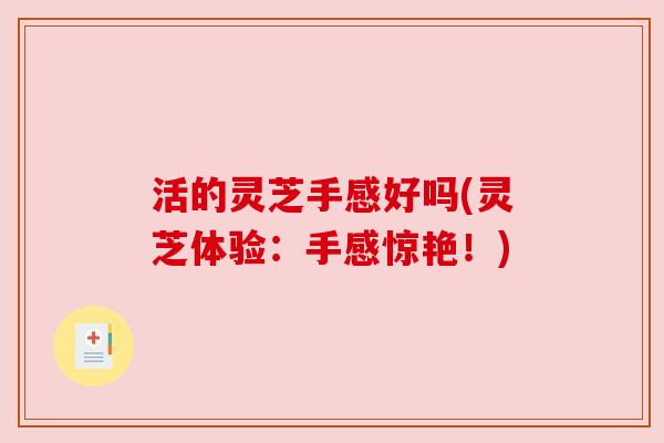 活的灵芝手感好吗(灵芝体验:手感惊艳!) 活的灵芝手感好吗(灵芝体验:手感惊艳!)