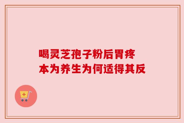 喝灵芝孢子粉后胃疼 本为养生为何适得其反